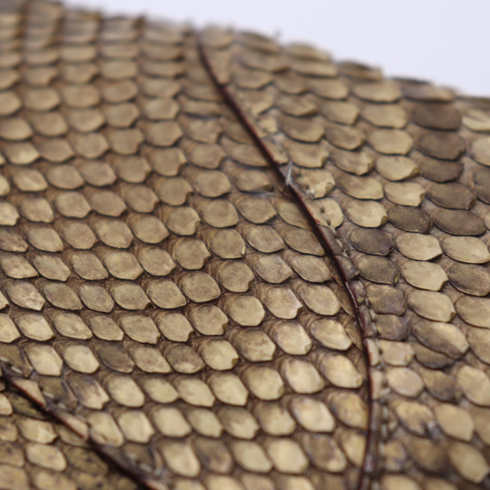 Gucci Jackie Shoulder Bag Gold Python - image 6